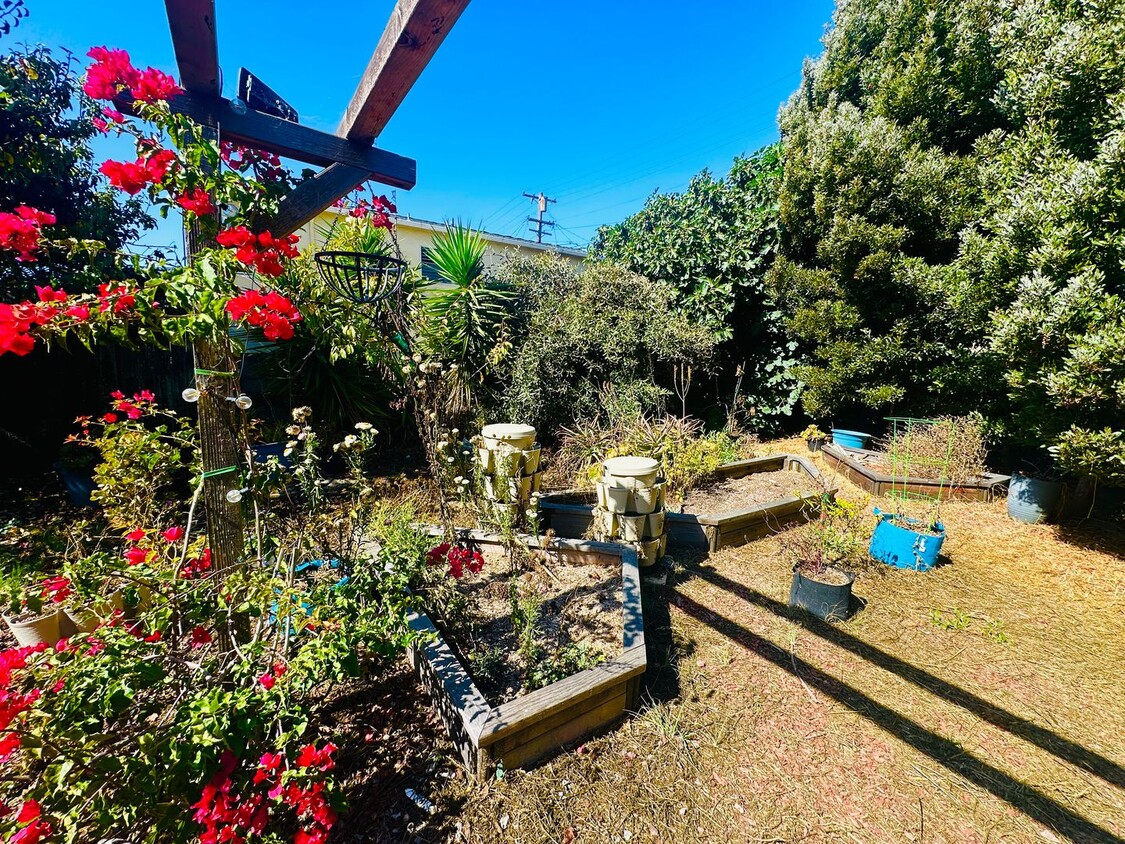 Ashby Duplex - Ashby Duplex