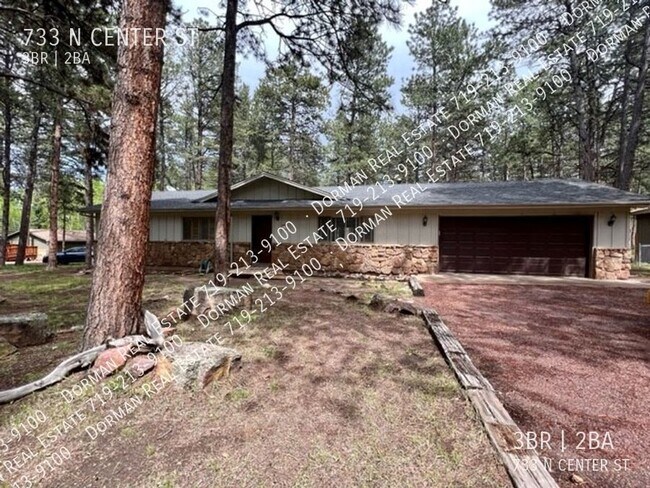 Building Photo - Cozy home in Woodland Park