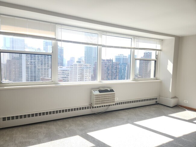 Foto del edificio - 1150 N Lake Shore Dr