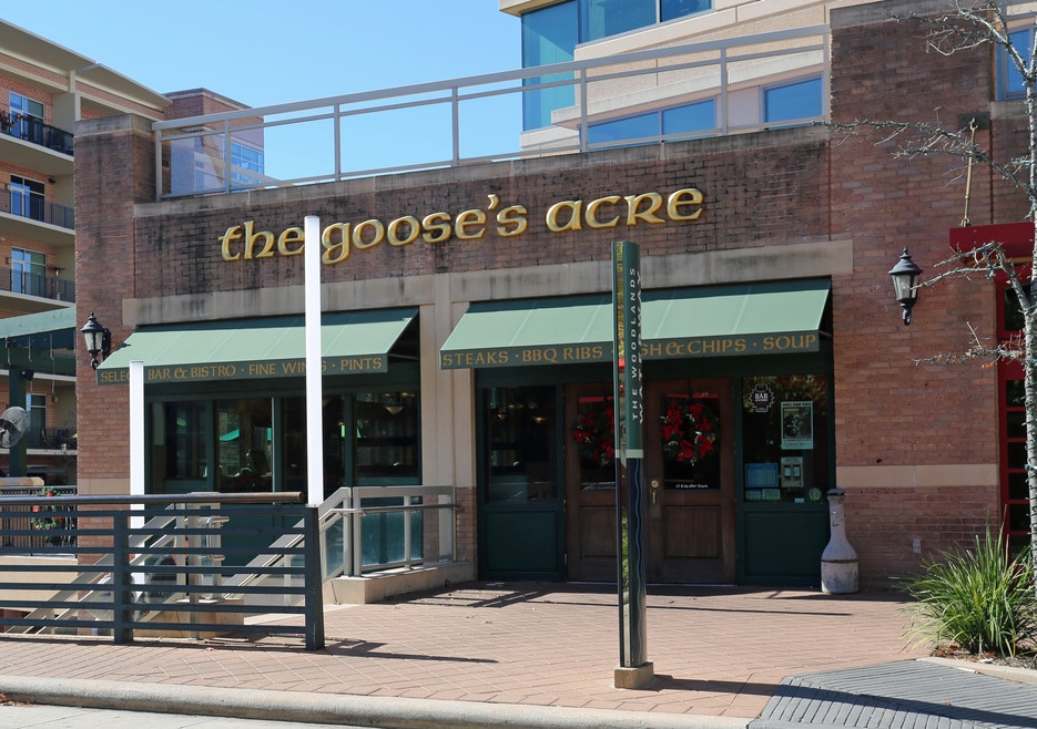 Is Town Center a Good Place To Live in The Woodlands? Neighborhood