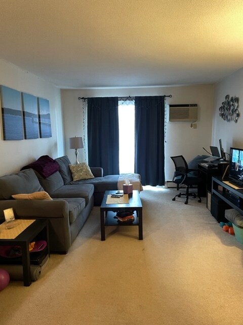 Living Room - 164 Galen St