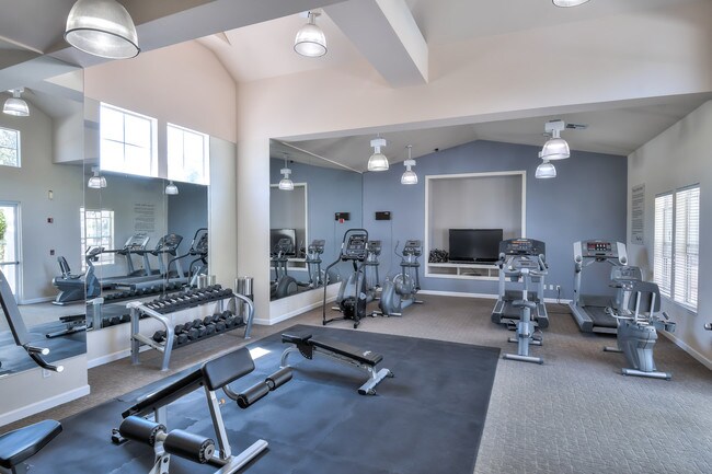 Gimnasio - Forge Homestead Apartments