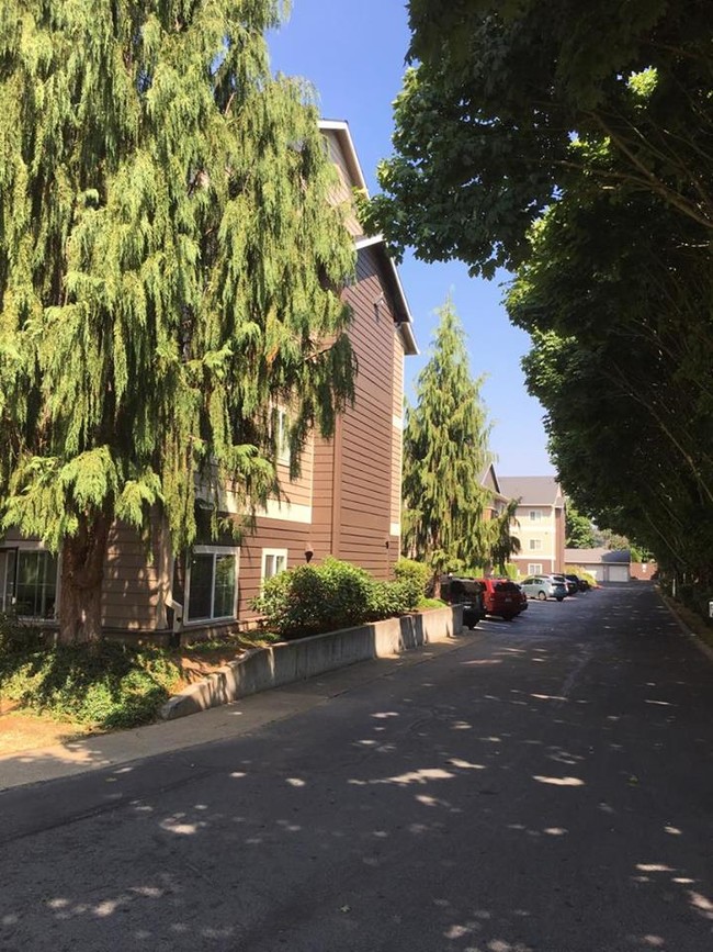 Foto del edificio - Chelsey Lane Apartments