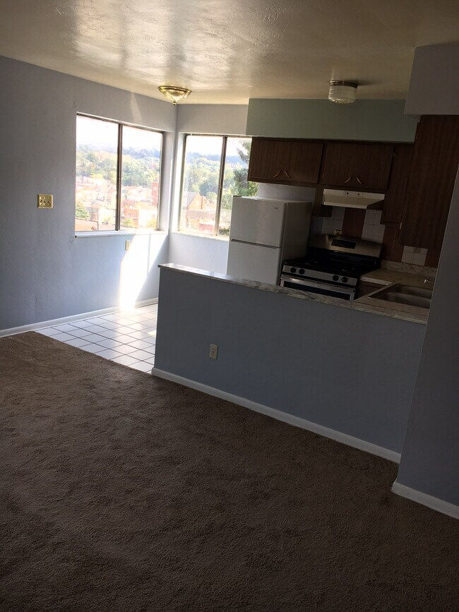 415 Bank St Unit 2B, Carnegie, PA 15106 Apartments in Carnegie, PA