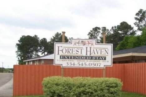Foto principal - Forest Haven Apartments