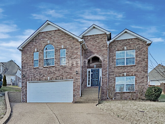 Building Photo - 808 Ottoe Ct