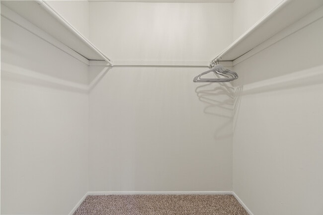 Spacious Walk-In Closet - Apartments at Bel Air