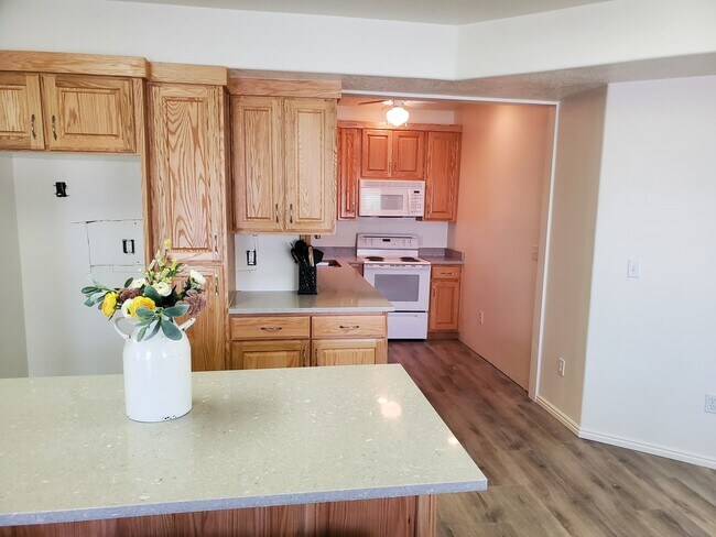 Large planked flooring for easy clean up - 1246 N 100 E