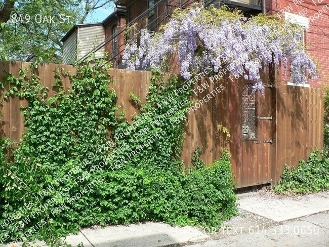 Building Photo - Oak Street Gem. Modern meets Vintage in Ol...