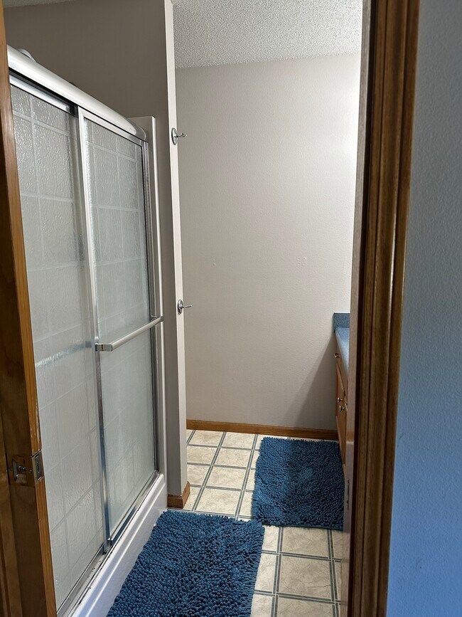 Bathhroom - 1355 Ozark Ridge