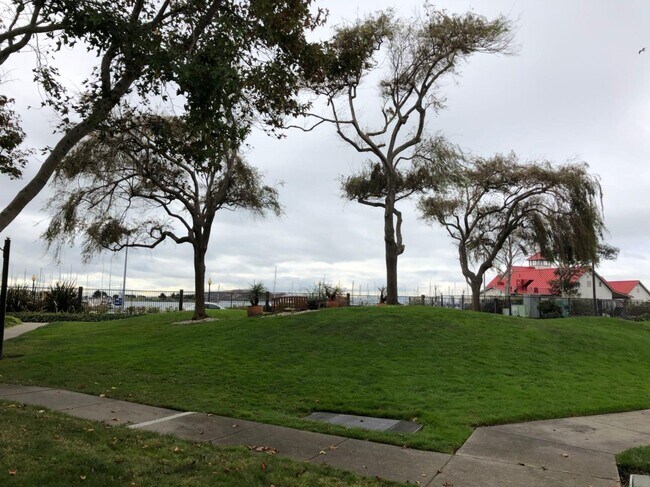 Area around community - 220 Schooner Ct