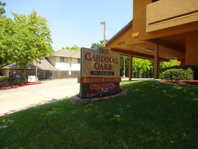 Building Photo - 5325 El Camino Ave