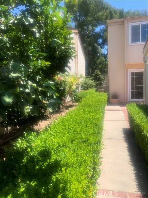 Foto del edificio - 71 Willow Tree Ln