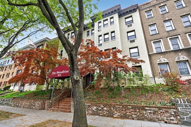 Photo - 3616 Connecticut Ave NW Apartment