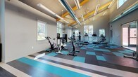 This fitness center is a thoughtfully designed, single-floor facility offering a comprehensive range of workout options. The space is defined by its striking architectural character, featuring soaring vaulted ceilings with exposed yellow structural beams and industrial-style ductwork that lend an open, modern aesthetic. Large windows throughout the facility flood the interior with natural light and provide views of the surrounding greenery and neighborhood.

The flooring consists of a bold checkerboard and striped pattern in teal, gray, and white rubber tiles, giving the space a vibrant and energetic feel. The main workout area is generously proportioned, accommodating a variety of equipment including spin bikes, elliptical trainers, treadmills, a weight bench, and a full dumbbell rack with a broad range of free weights. A functional cable training machine is also available, positioned on its own designated mat area.

A large wall-mounted display screen serves as a focal point in the main exercise zone, complemented by mirrored walls that enhance the sense of depth and space. Glass-paneled walls and doors reveal an adjacent racquetball court, adding a dynamic sporting dimension to the facility. A stationary bicycle is also visible near the entrance area. Overall, the fitness center delivers a bright, spacious, and well-appointed environment suited for a wide variety of training activities.