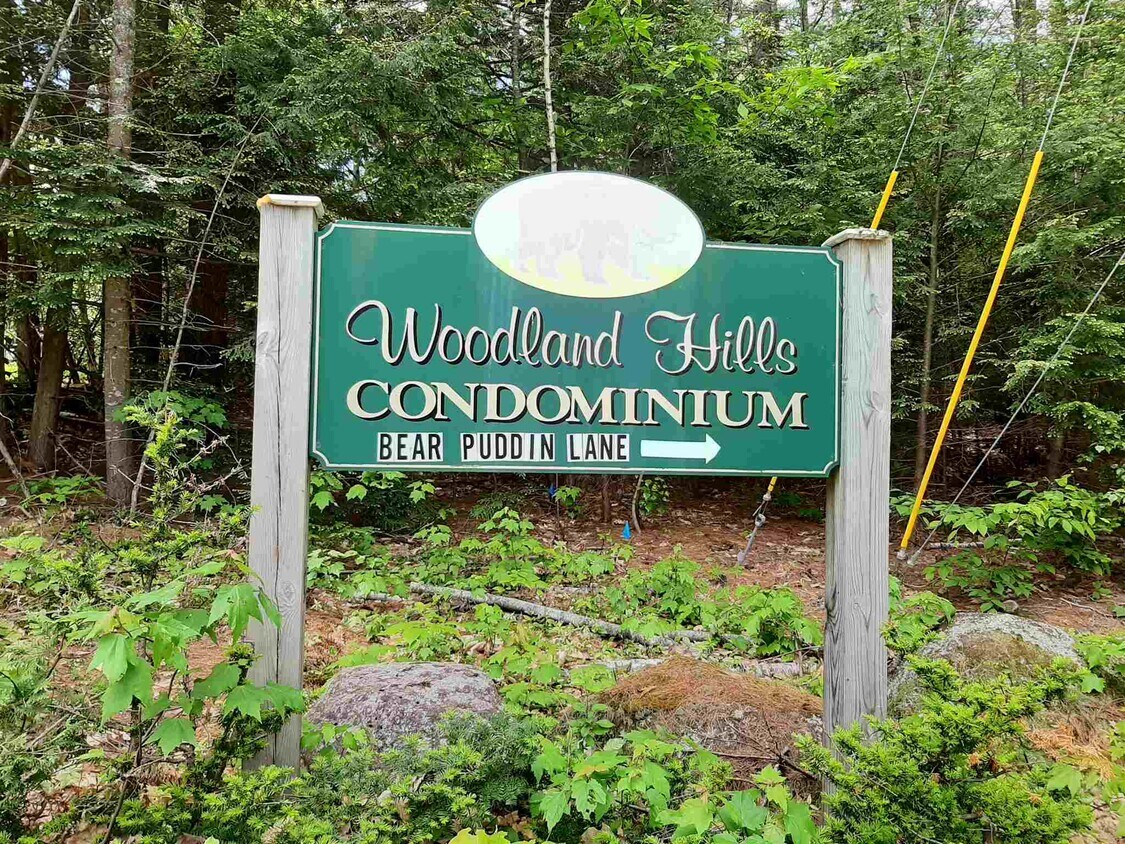 45 The Ln Unit 4, Conway, NH 03860 Condo for Rent in Conway, NH