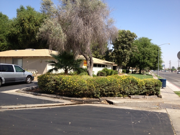 Building Photo - Evergreen Apartments