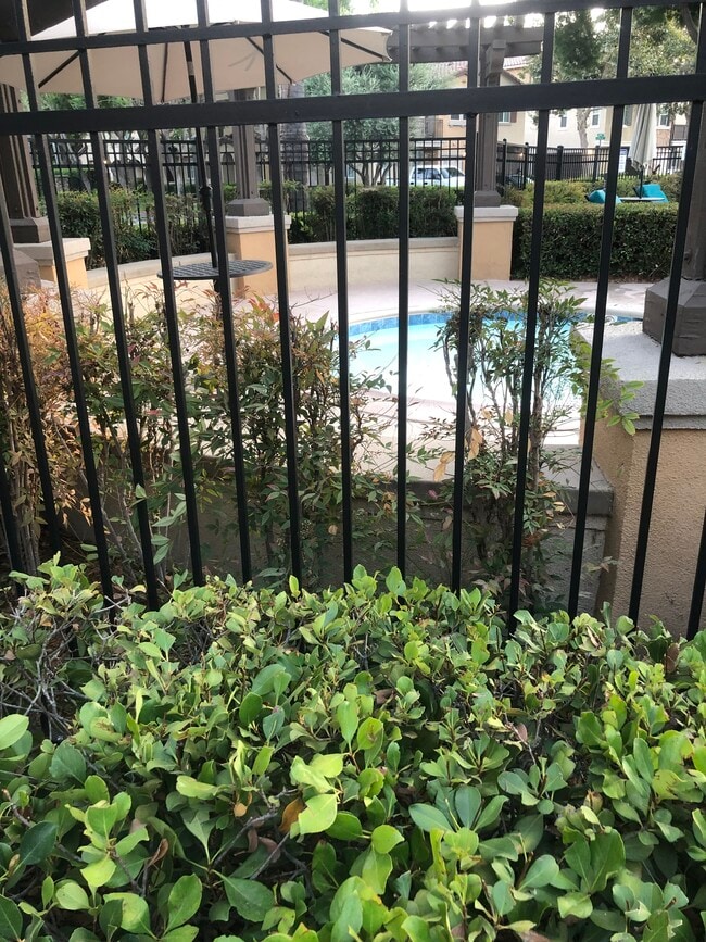 Puerta de la zona de la piscina. - 6395 Delgado Ln