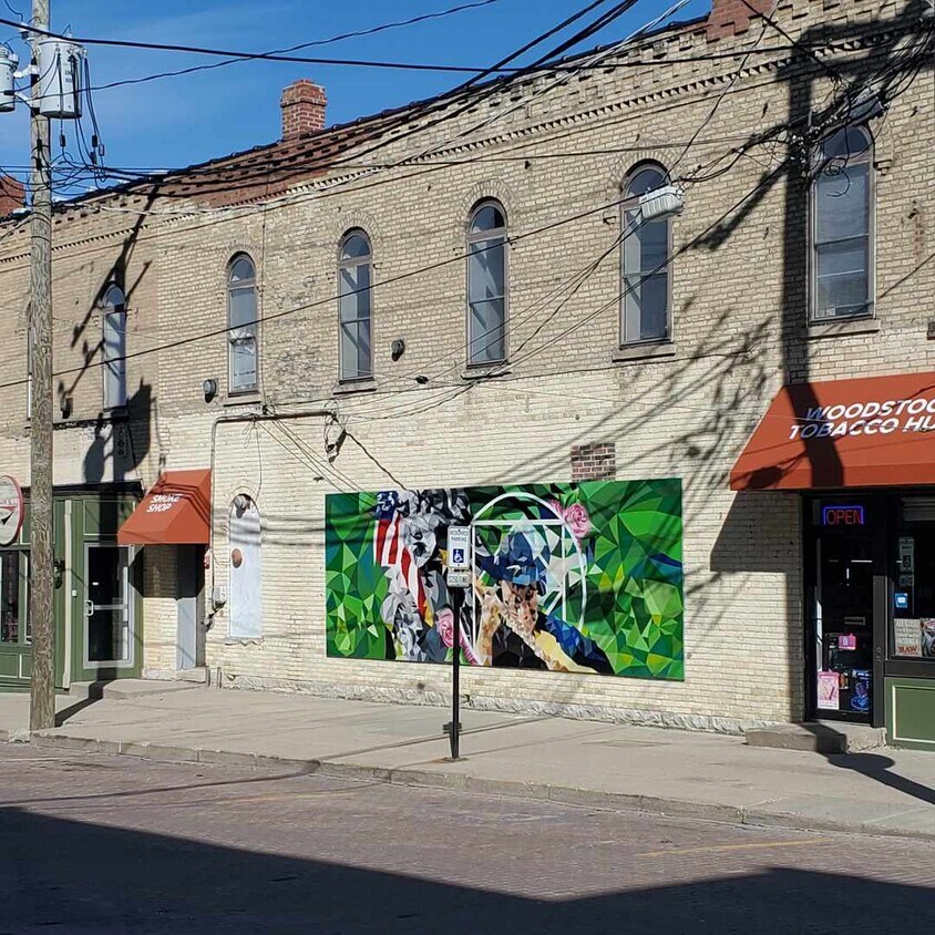 226 N Benton St Unit 3, Woodstock, IL 60098 Condo for Rent in