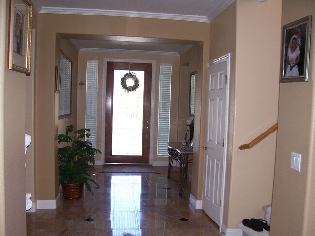 Foto del edificio - LACEBARK PINE