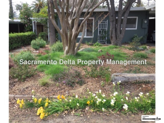 Building Photo - Beautiful South Land Park Home!
