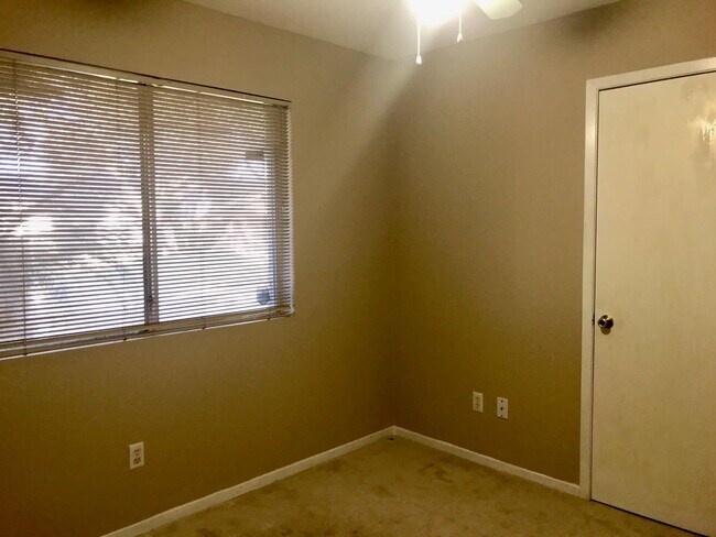 Foto del edificio - 2403 Chimneystone Cir