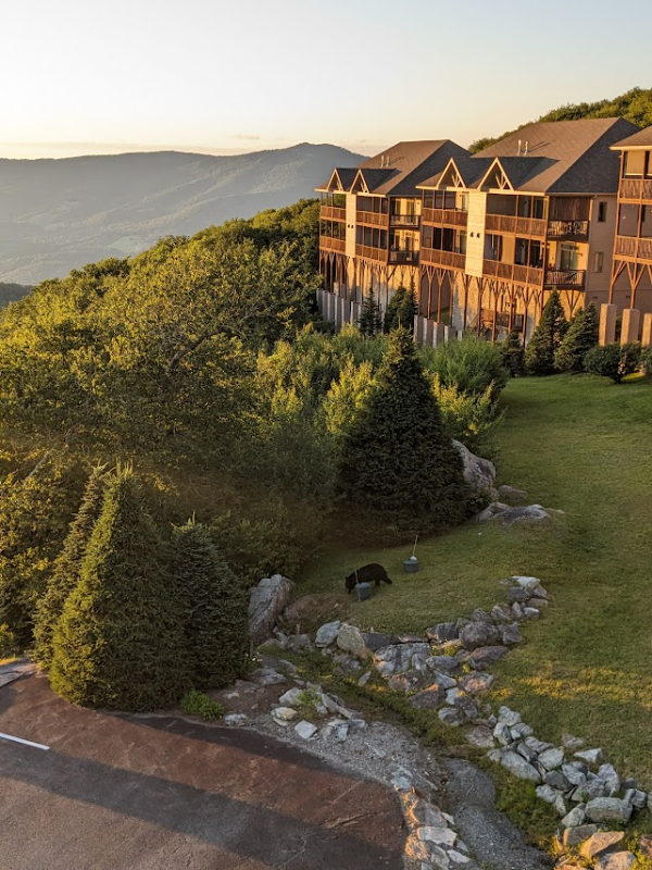 Foto principal - 799 Craggy Pointe