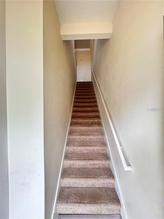 Foto del edificio - 304 Southern Pecan Cir