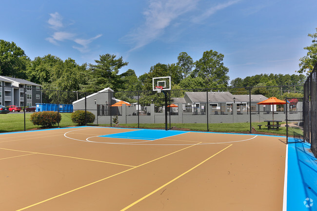cancha de básquetbol - Rise Chapel Hill