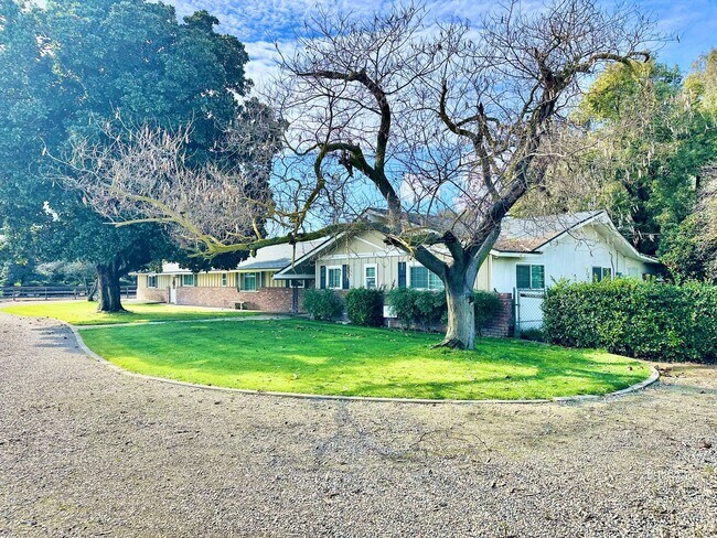 Building Photo - Gorgeous 4/3 Country Estate with 2000sf Barn