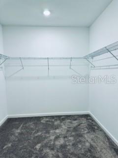 Foto del edificio - 3185 Laurent Lp
