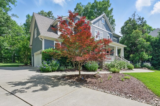 Building Photo - 10 Brown Bear