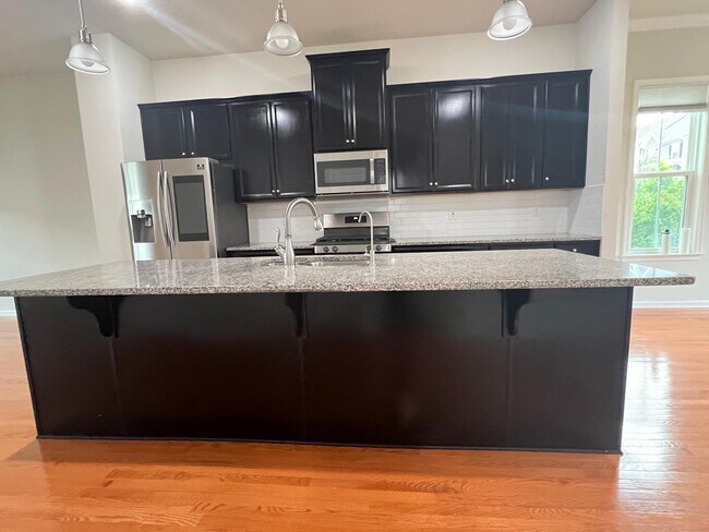 Main Level Kitchen - 2010 Hemlock Ln