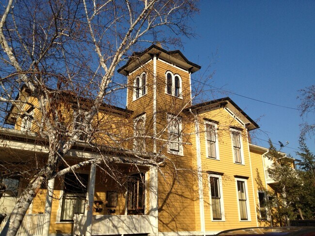 Unit has access to a beautiful widows peak with surrounding windows with copper roof seen above - 313 N Tioga St