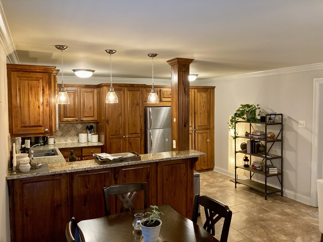 Open Kitchen Design - 1290 Park Blvd