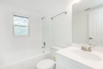 Interior Photo - Raintree Park