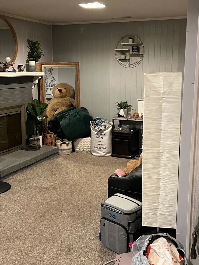 Sorry for the mess - 7 Donalds Ln