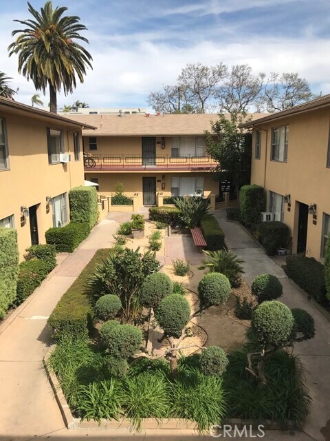 Building Photo - 325 Olive Ave