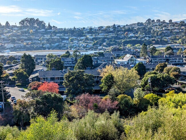 Building Photo - Sunny and quiet 1br condo in Tiburon