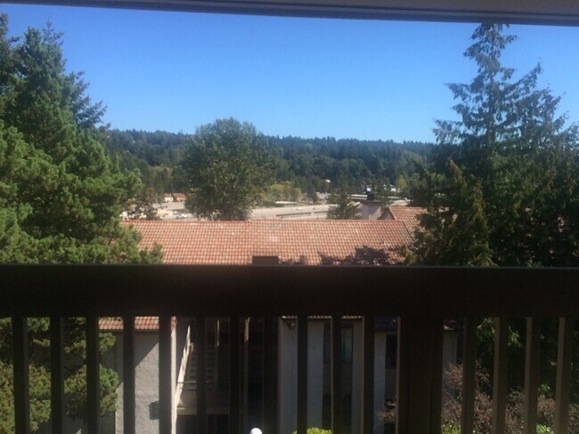 Balcony View - 10424 NE 32nd Plz
