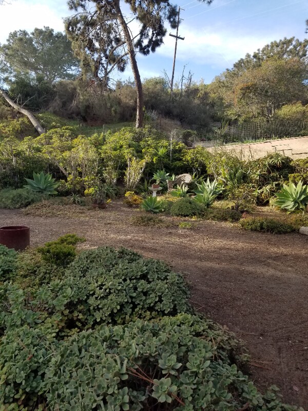 Foto del edificio - 311 Glencrest Dr
