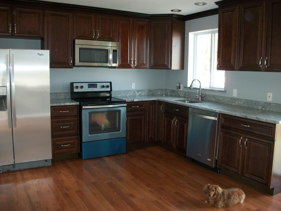 55 Langdon Ct, Berlin, CT 06037 House Rental in Berlin, CT