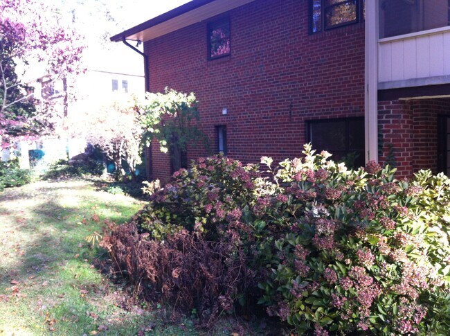 Foto del edificio - 3130 Juniper Ln