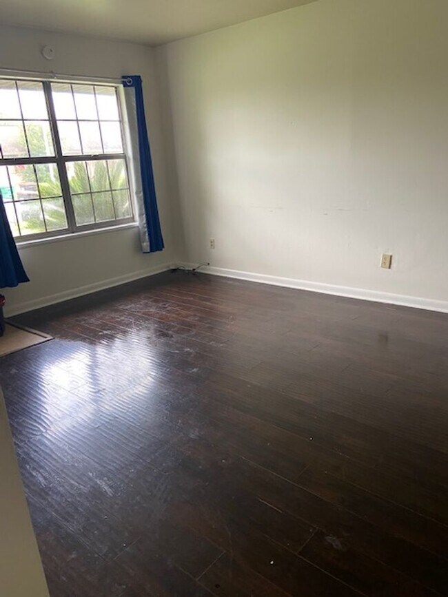 Foto del edificio - Nature in the Heart of the City: Live Near Moncus Park-2 BED 1 BATH