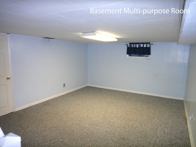 Basement - 233 New York Ave
