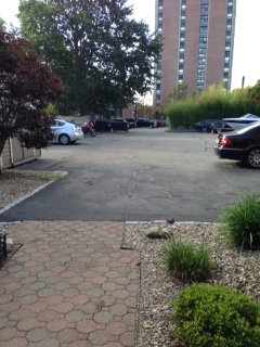 Private Parking Lot in rear - 131 Essex St