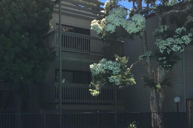 Upper level unit - 4189 George Ave
