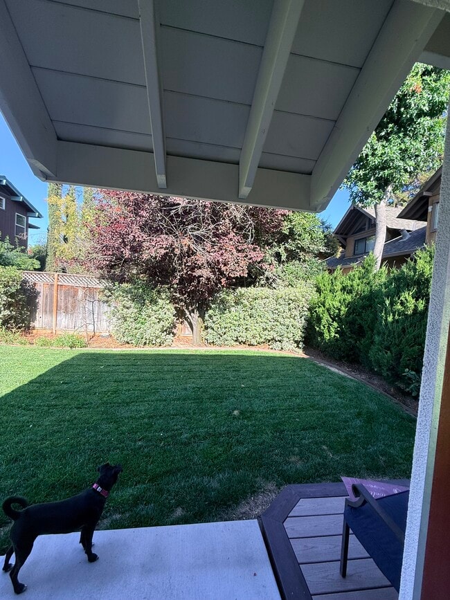 Private yard with fruit tres - 149 Cherry Ln
