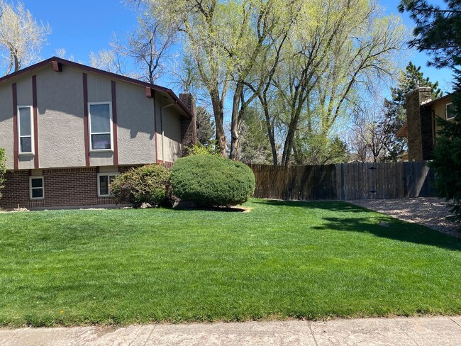 Building Photo - Wonderfully taken care of Tri Level Home w...