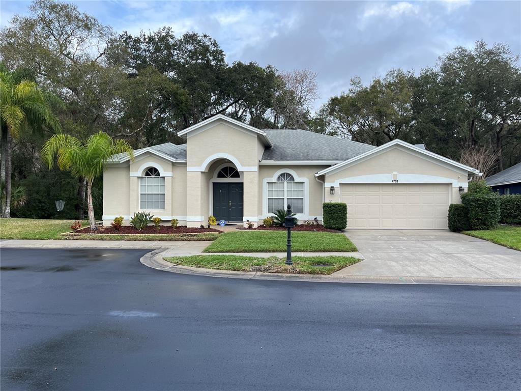4709 Stonebriar Dr, Oldsmar, FL 34677 House Rental in Oldsmar, FL